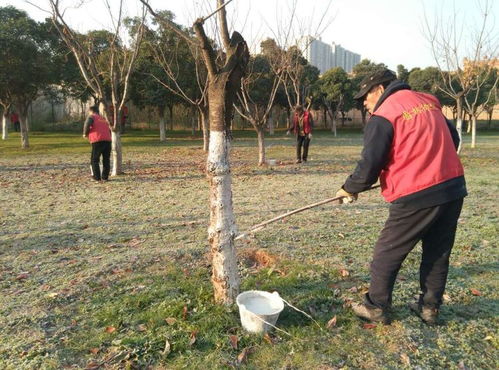 大明宫遗址区掀起冬季绿化养护工作热潮,确保绿化苗木 温暖 过冬